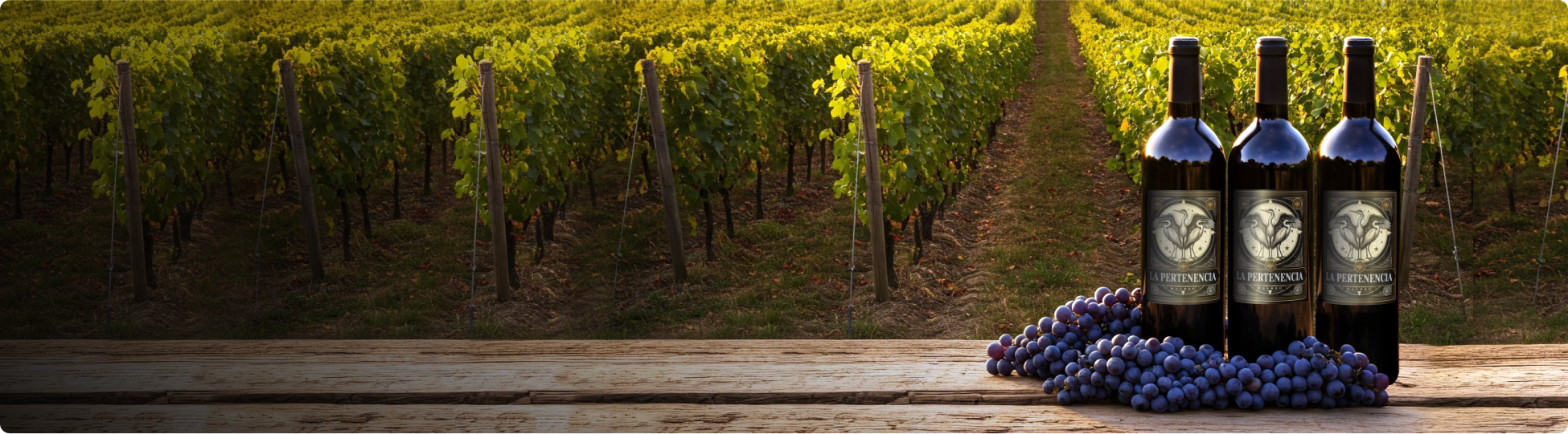 Membresías - Background